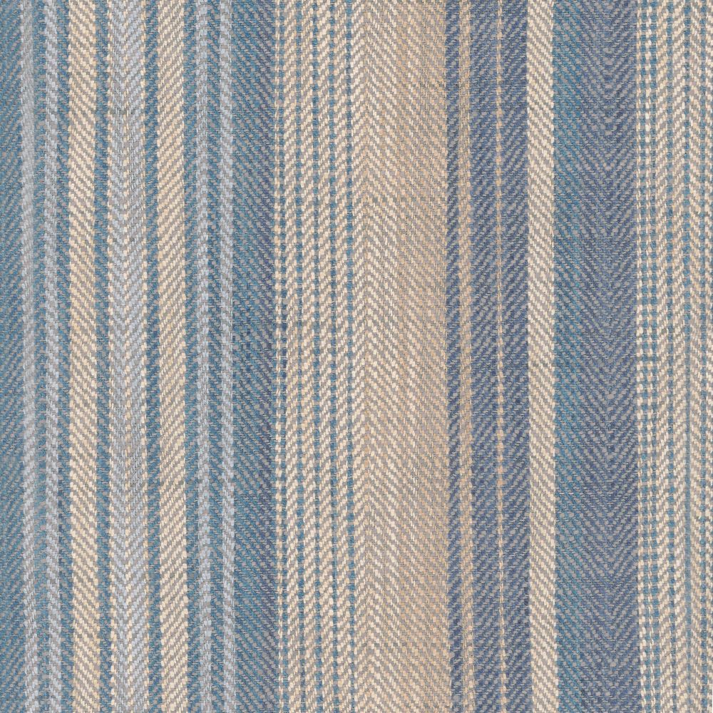 Roth & Tompkins Sonoma Stripe Denim Fabric
